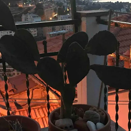 Magical House * Sanremo