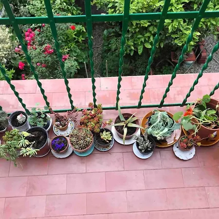 Apartment Magical House Sanremo